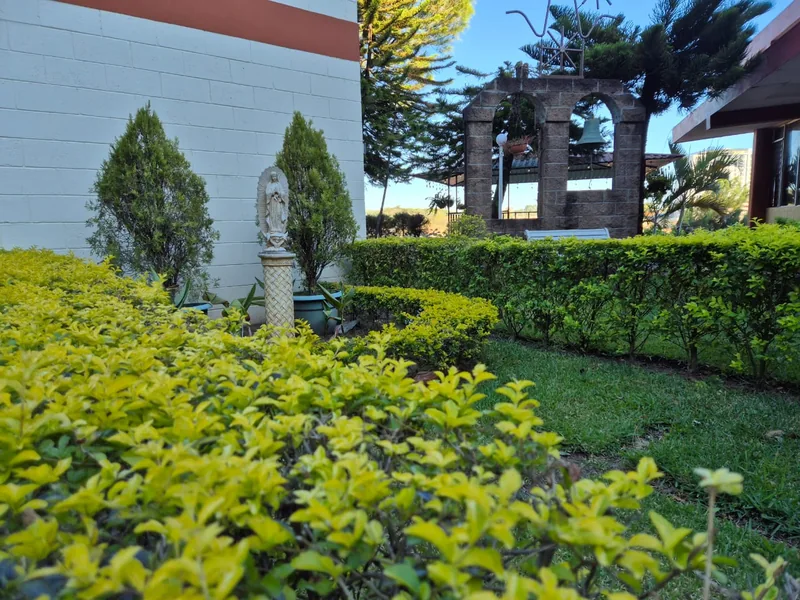 Imagen de la Virgen María entre los jardines de la casa